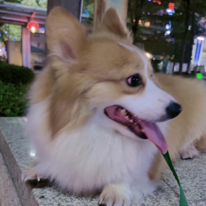 ღ᭄💞微笑ོএ: 向钱💞