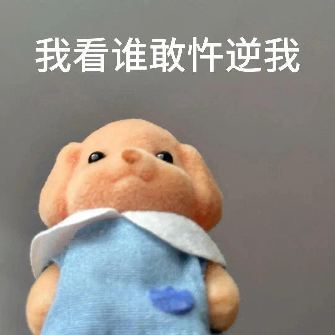 肉妮儿很多肉（160斤版）