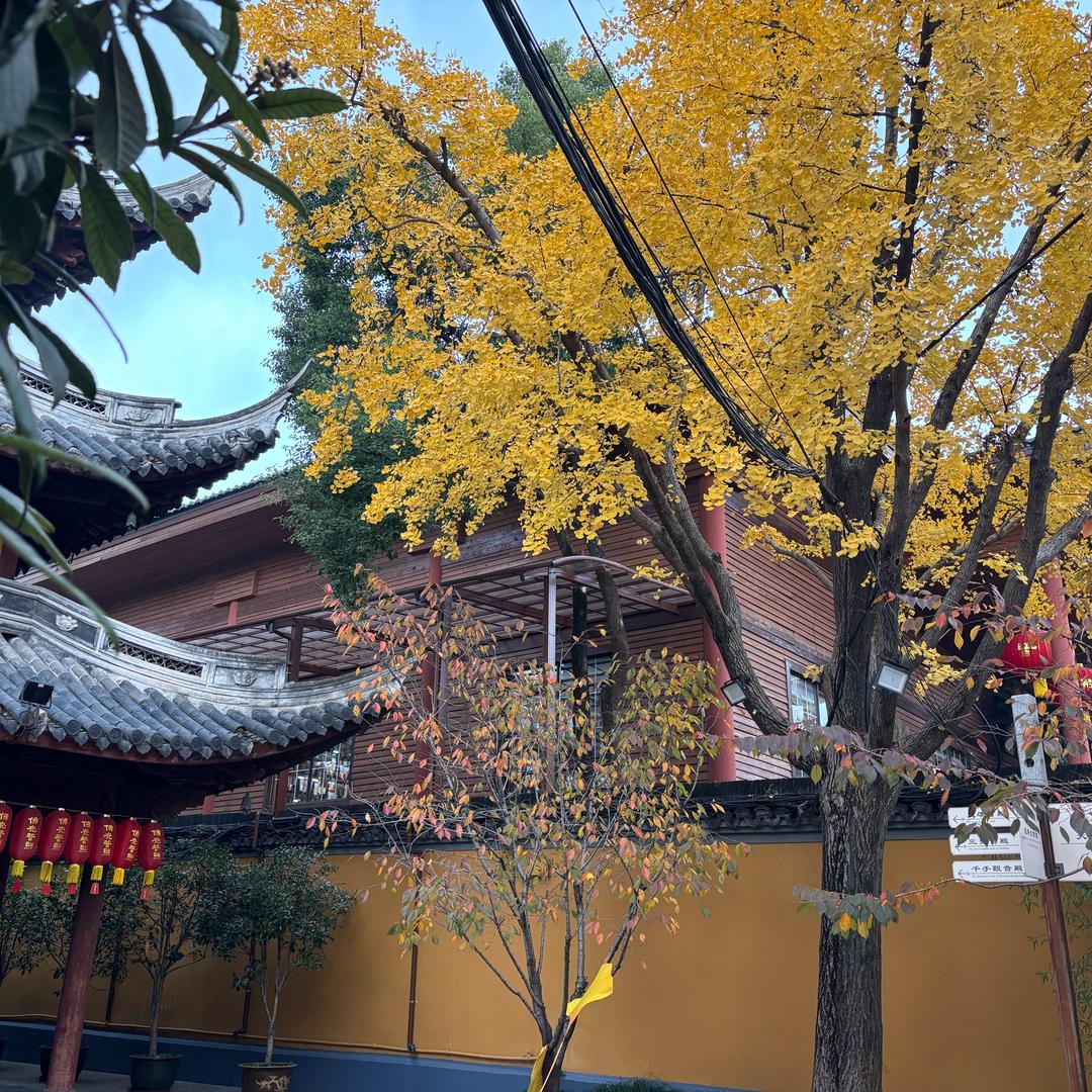 一安盐