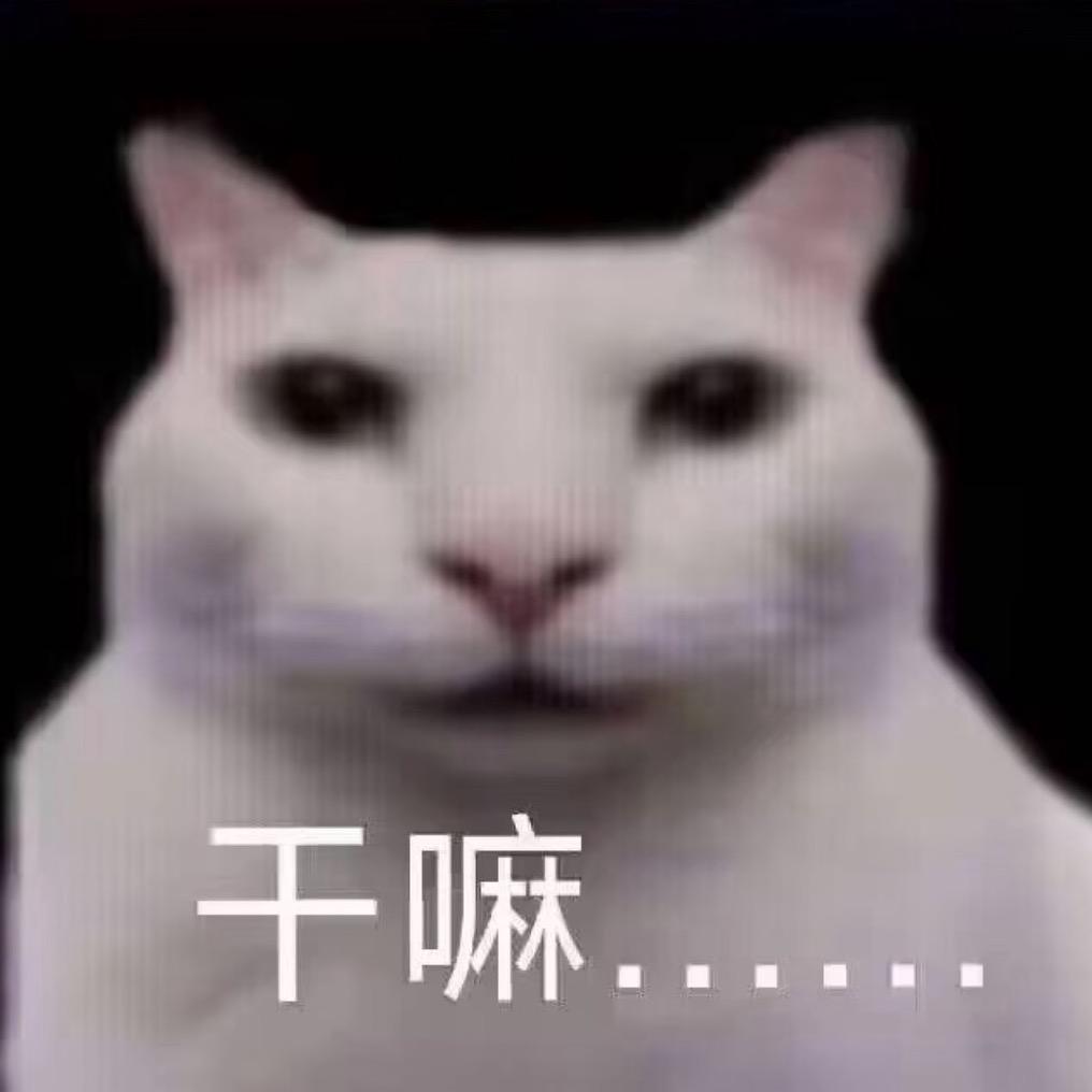 你好我是y