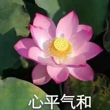 此生