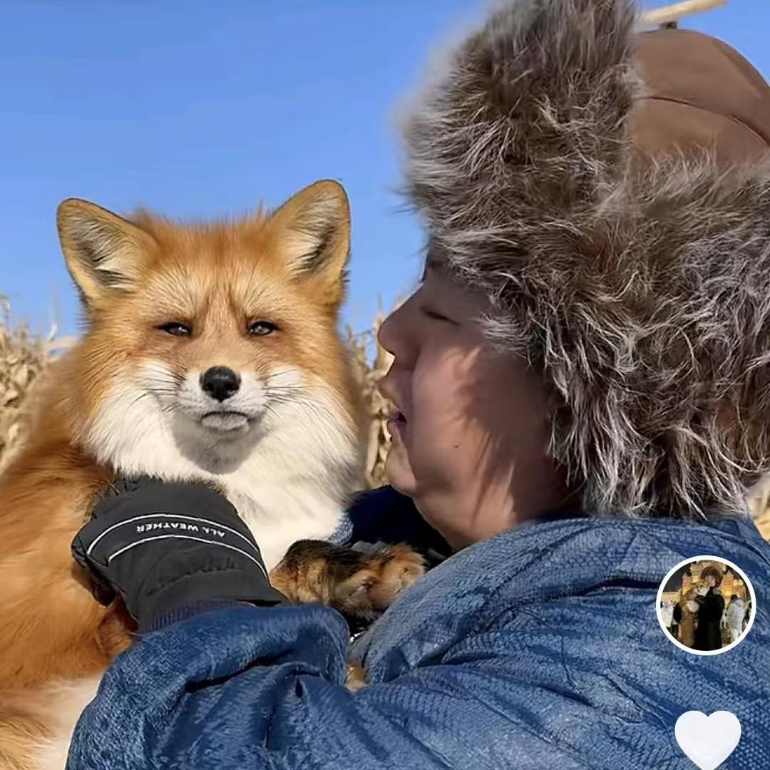 海龙家的白狐@抖音