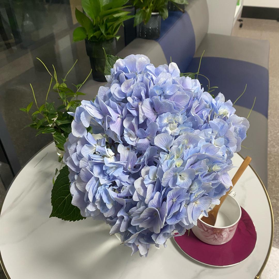 希望所有的人都快乐