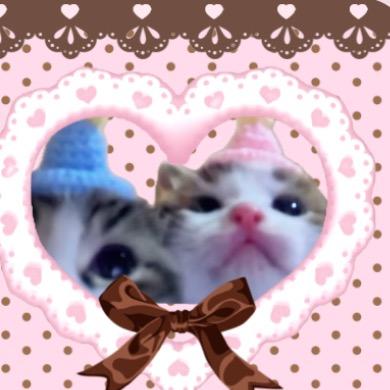 ꒰ঌ ♡✰ ✭🐈‍⬛ ✭ ✰♡ ໒꒱