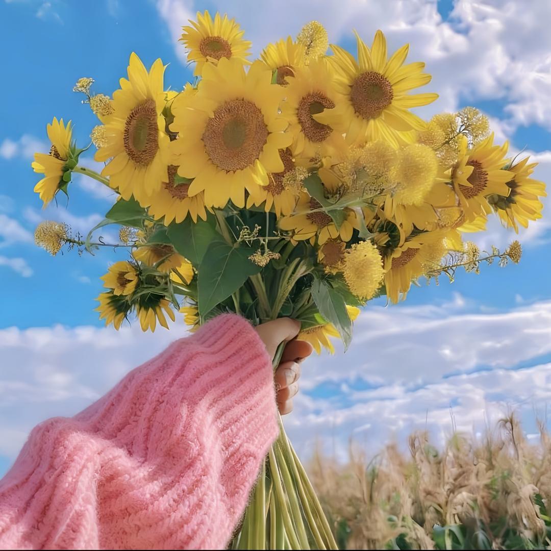 🫧•͈ᴗ⁃͈★ 晴子