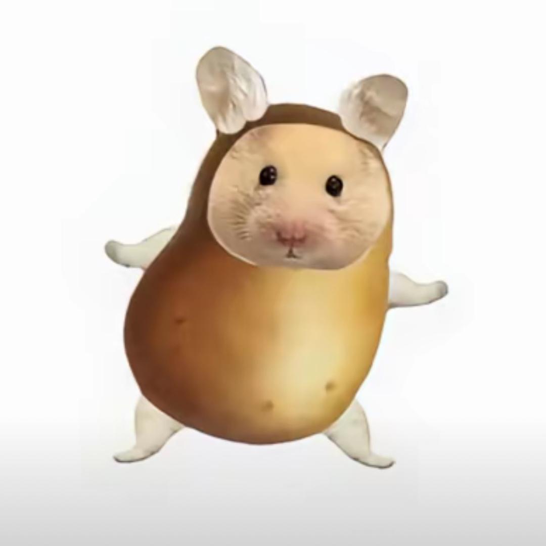 蜡笔小Z