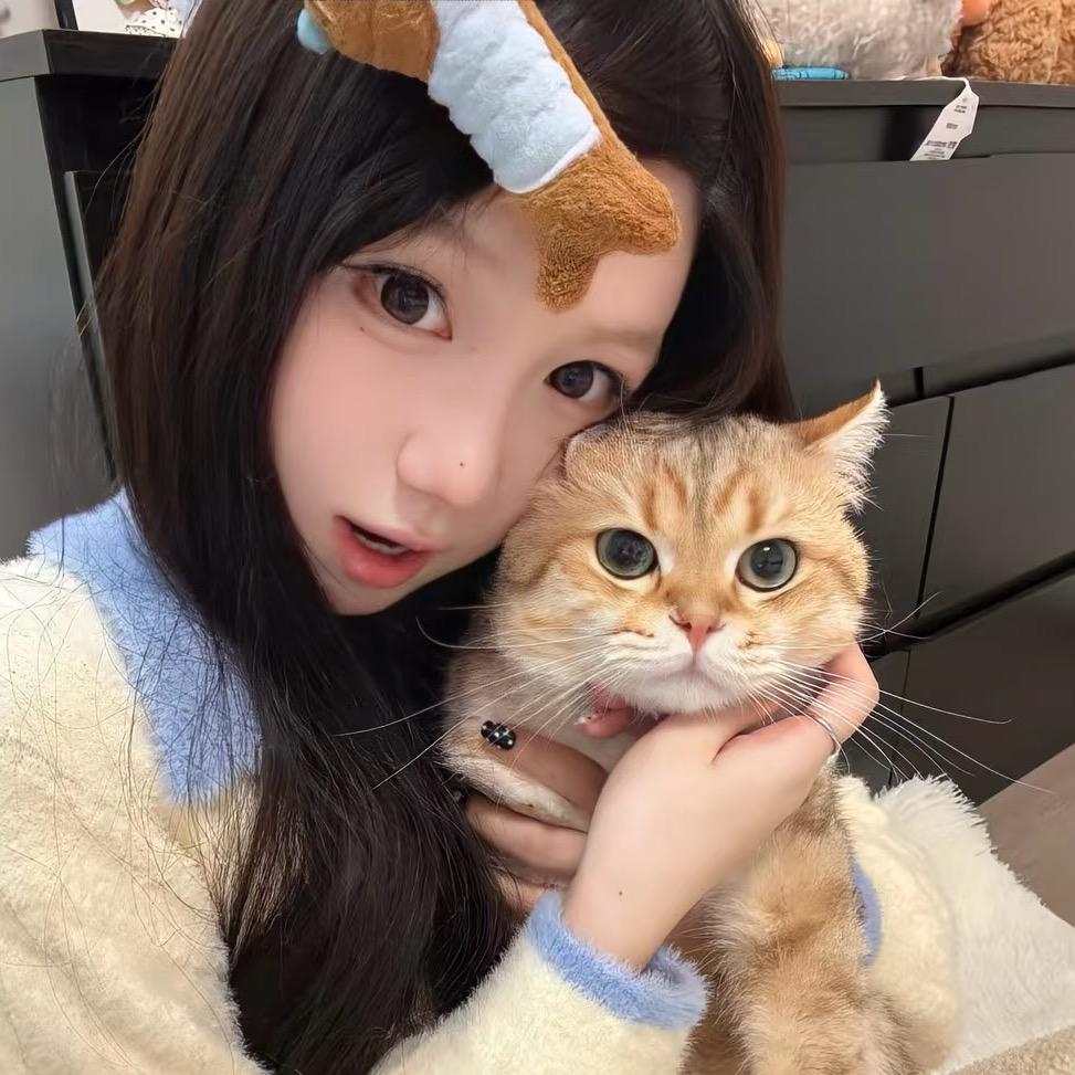 晕头小猫ˣᵒˣ