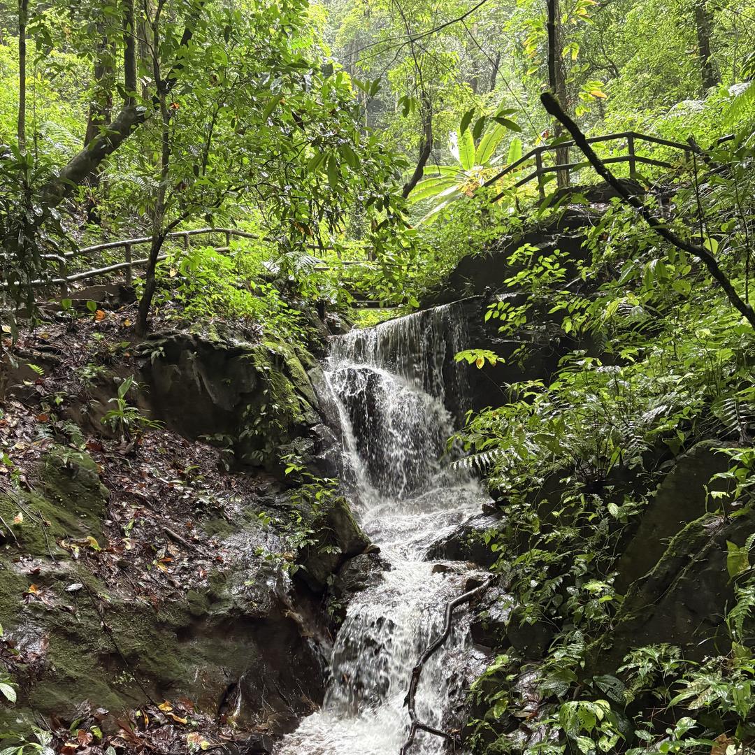 边境源物食用优品店