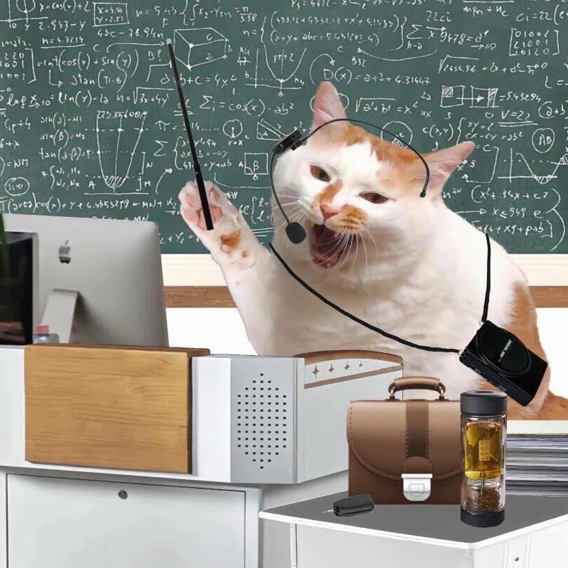 多多研究生-迈哥