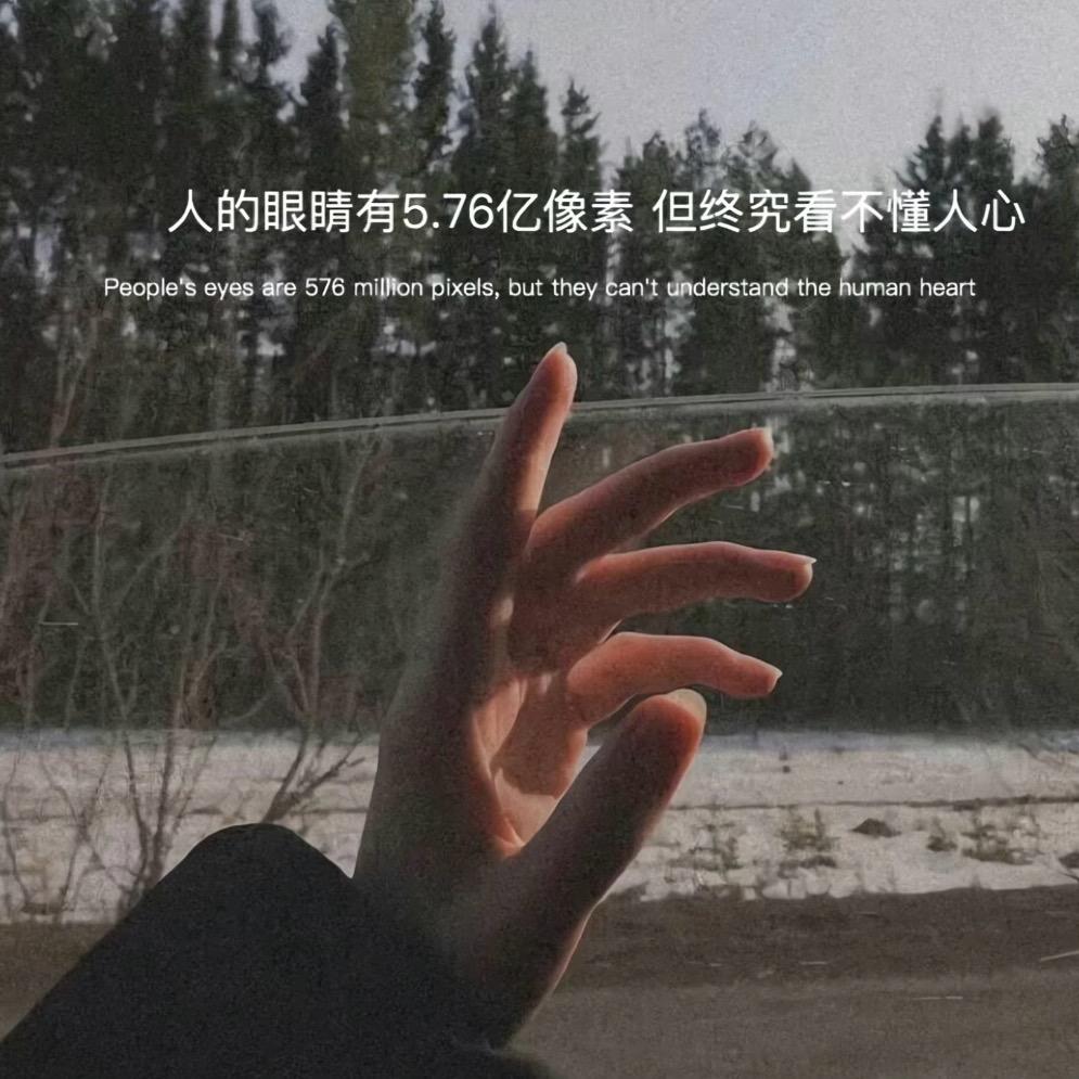 二姐💍