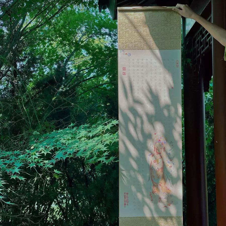 永瘦宫里有御猫