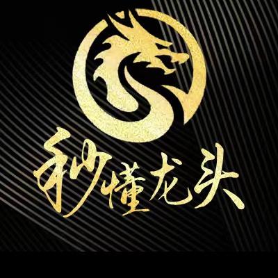 秒懂龙头