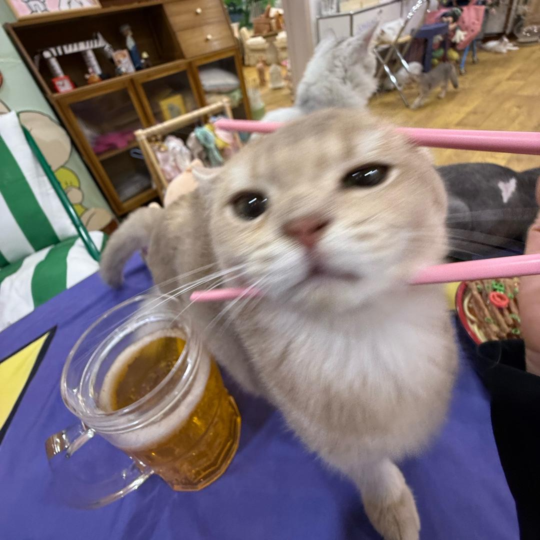 风停了.