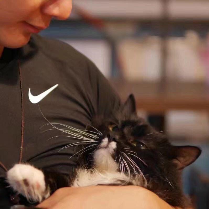 卖单车的猫BaBa～