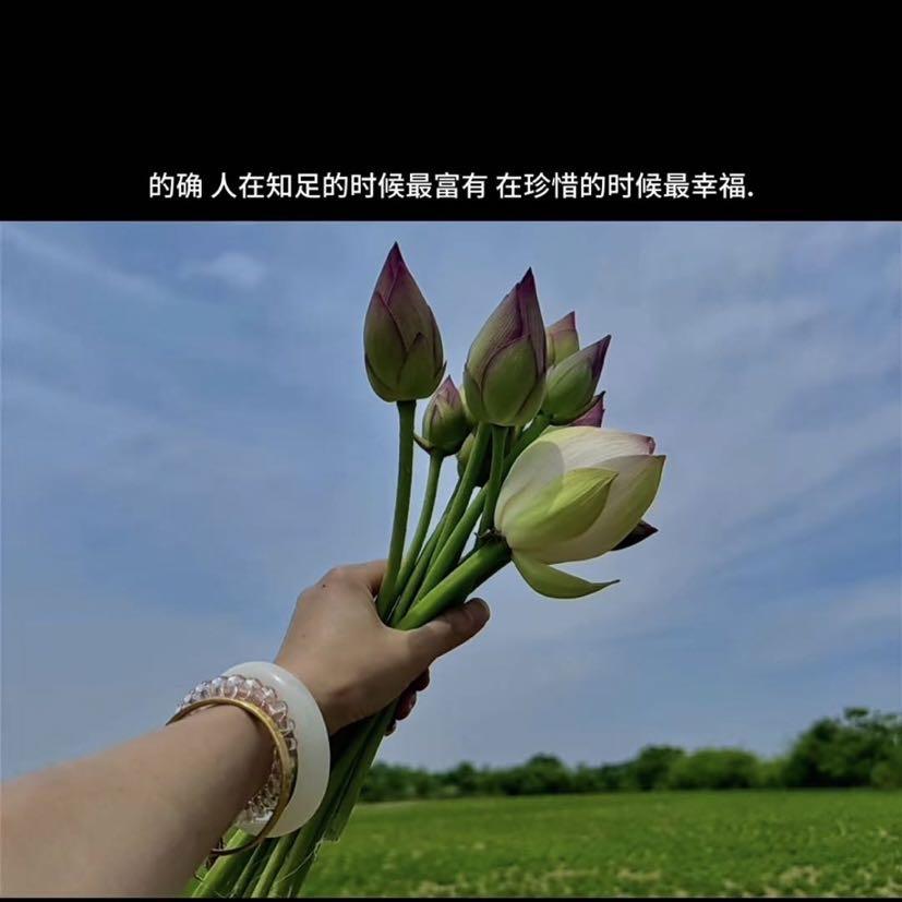 🌸