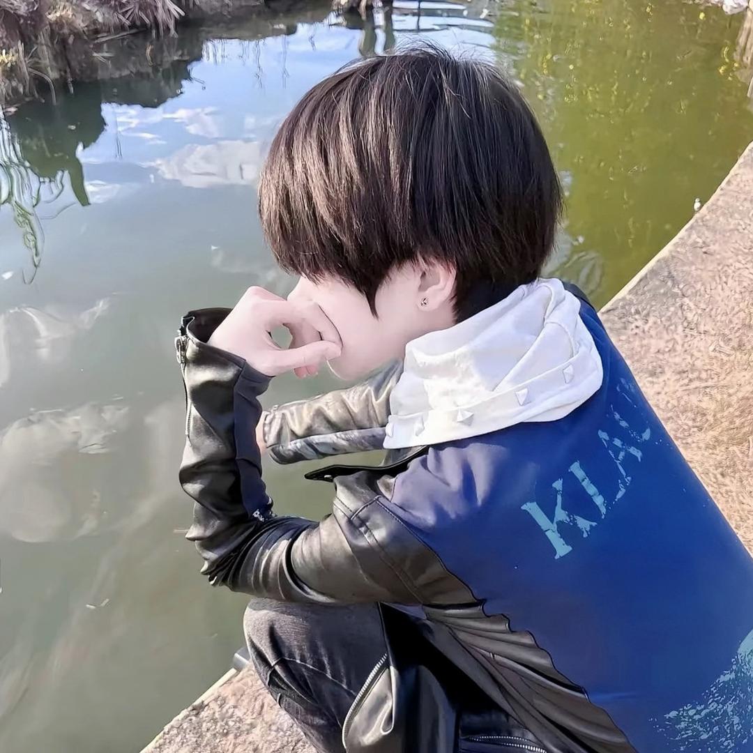 雾与柏
