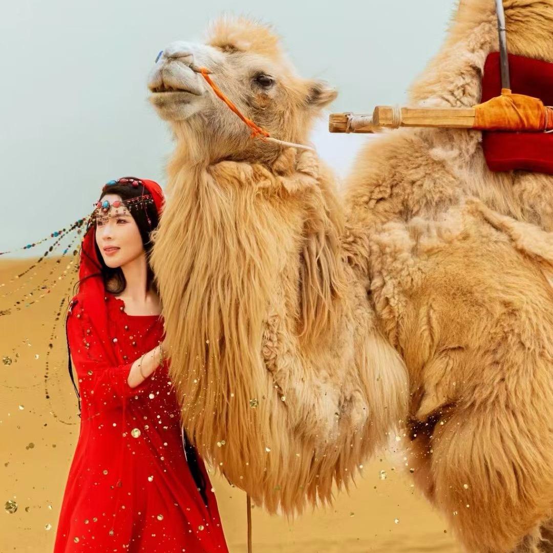 新疆好物推荐官