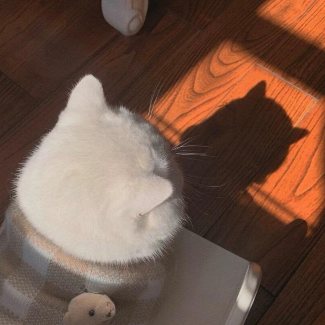 时运