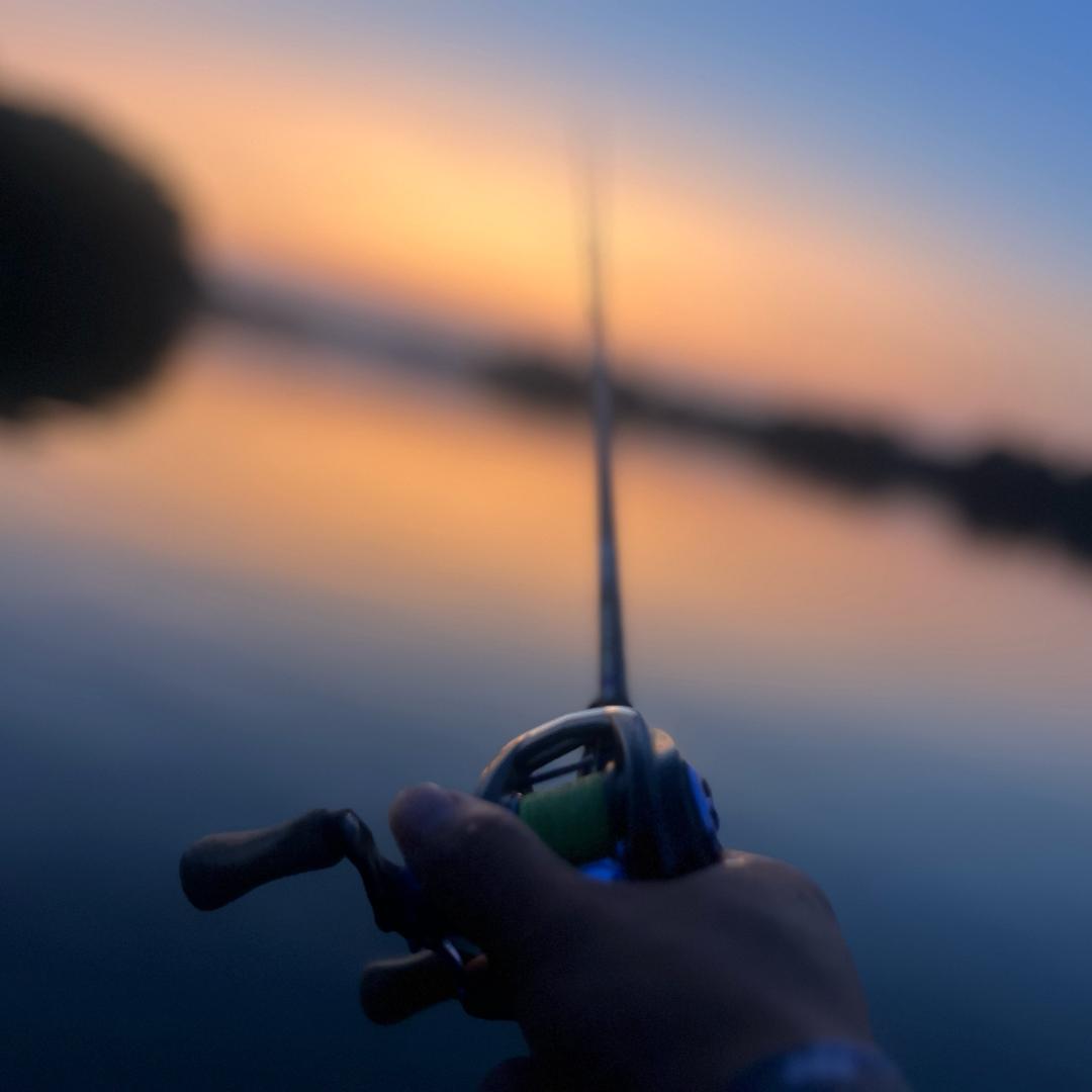情天哥哥的路亚日记🎣