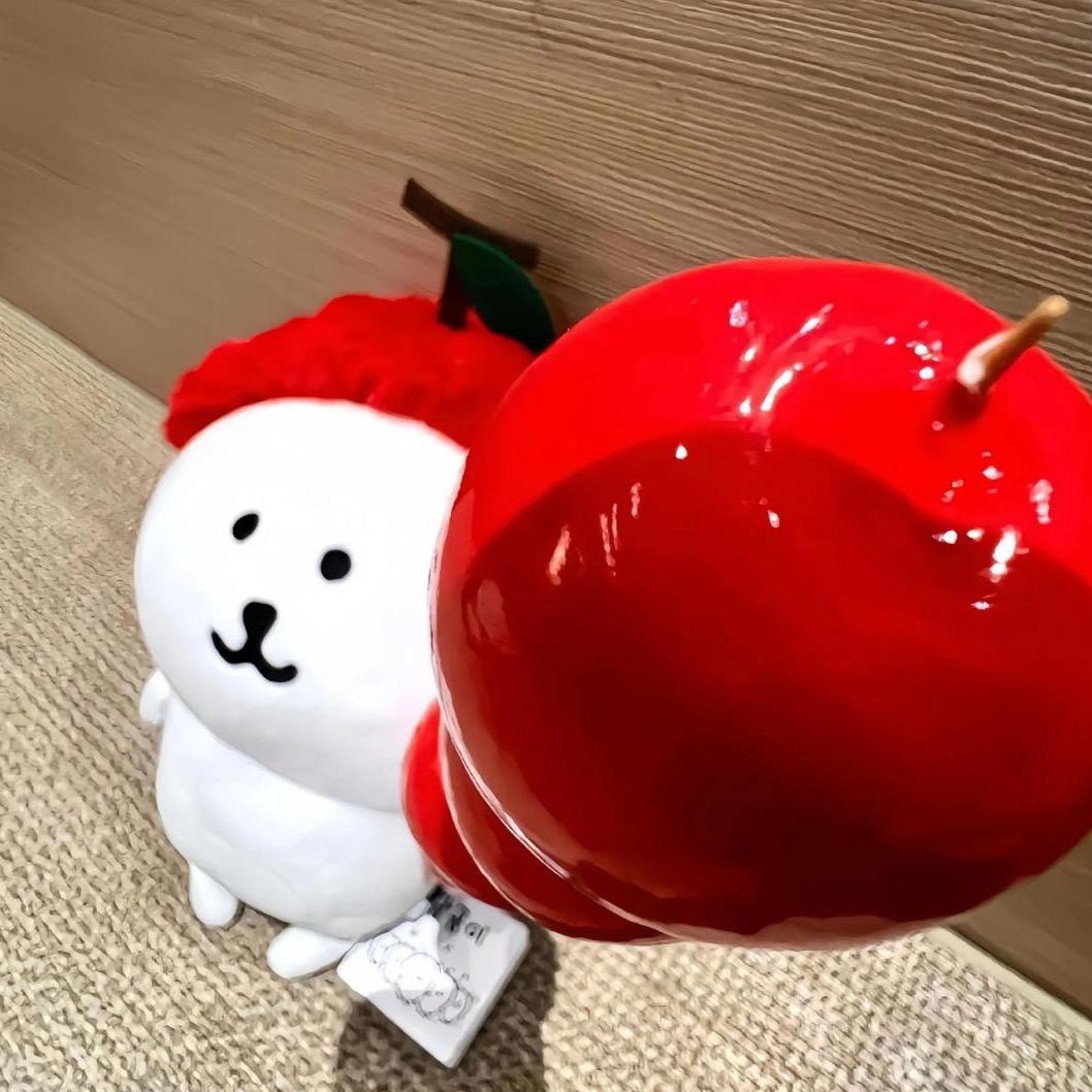 放青松🌱