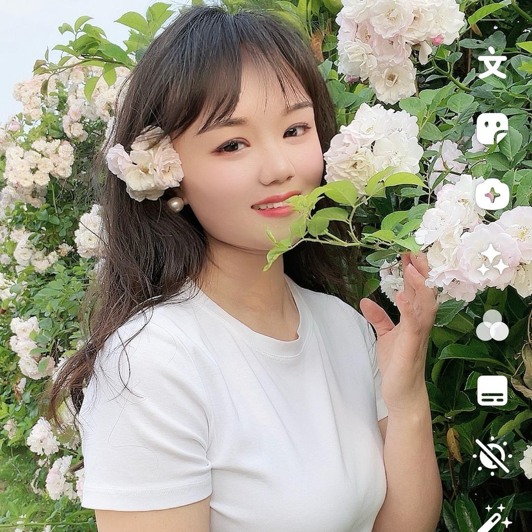 南京半夏