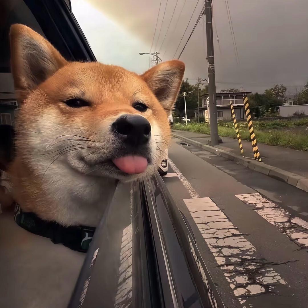 云深
