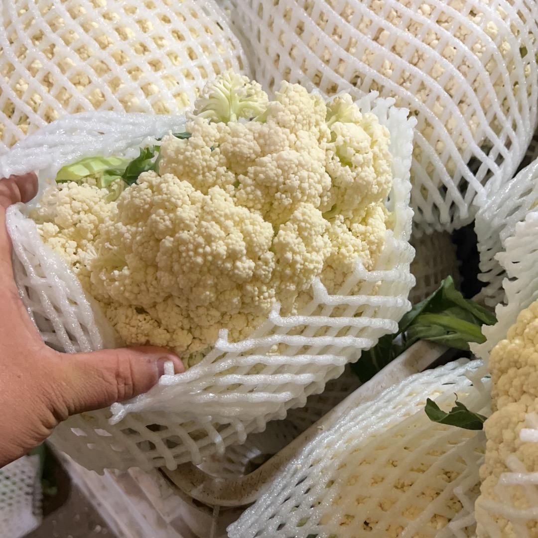 邯郸旺丰蔬菜代购代销