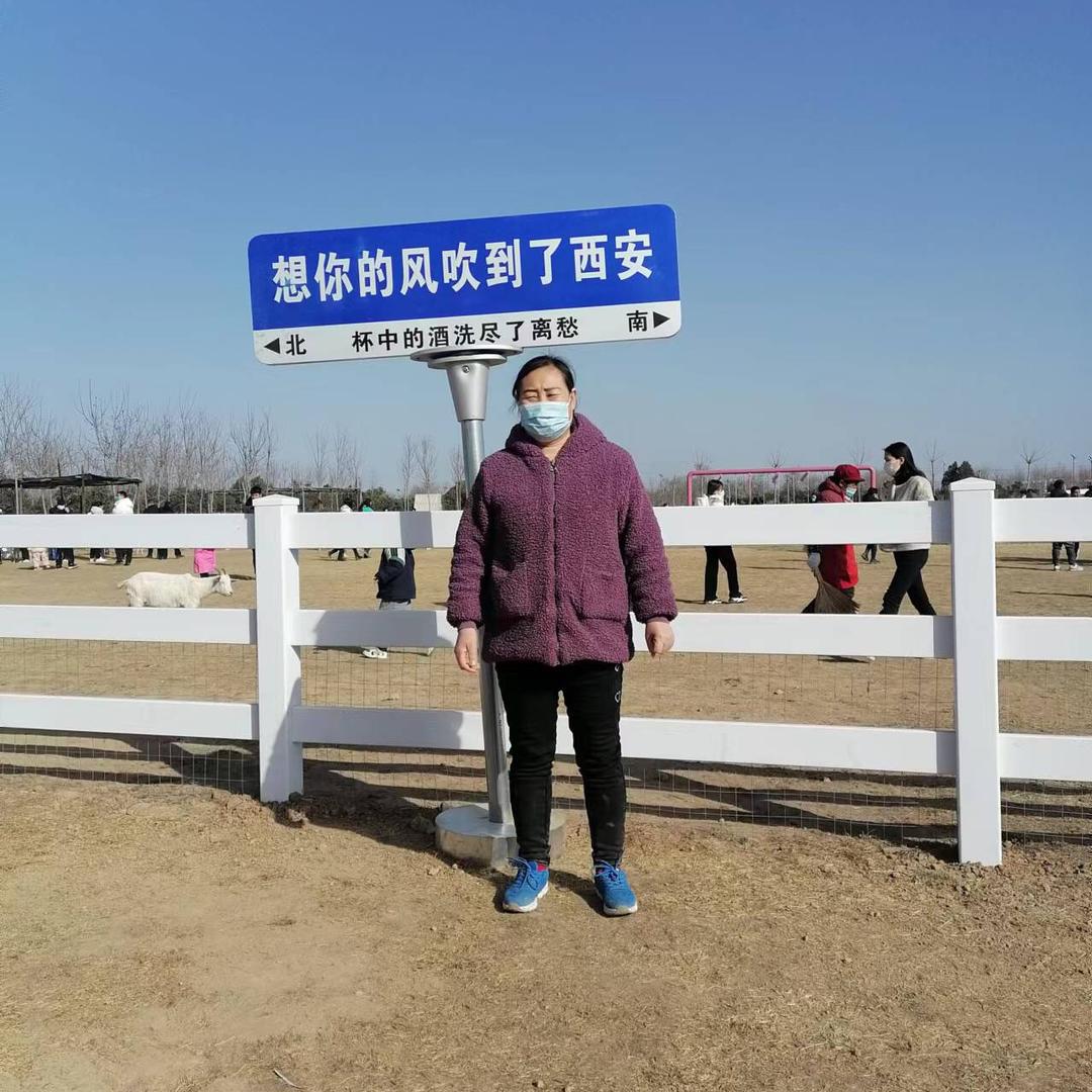 朱姐爱生活