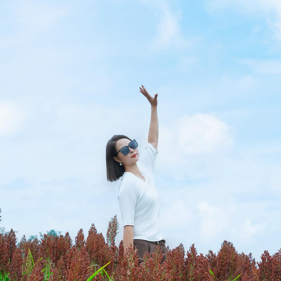 心照不宣