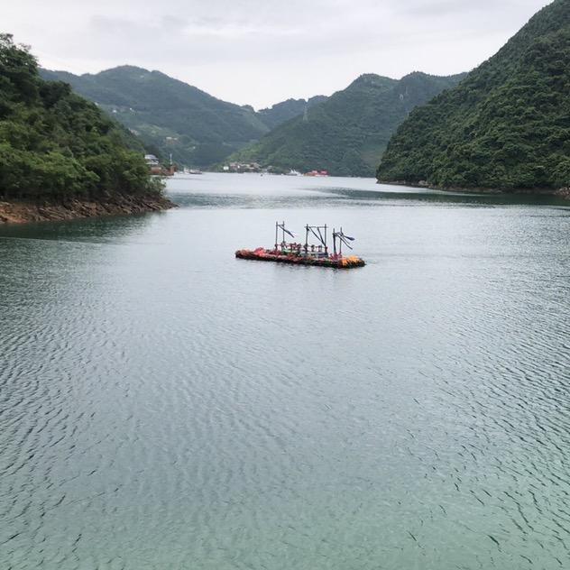 乜許╮還恠噫