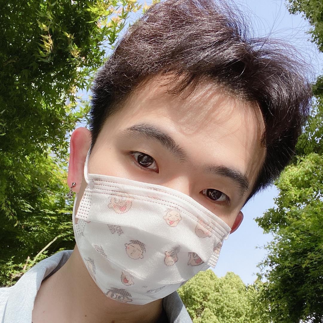 会发光的小仓鼠