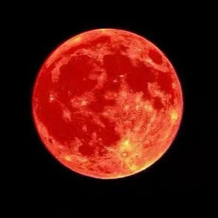 林、精品渤海湾海鲜