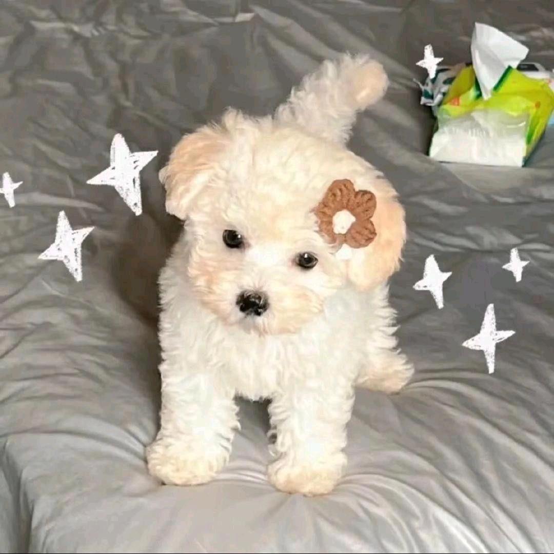 ☄️