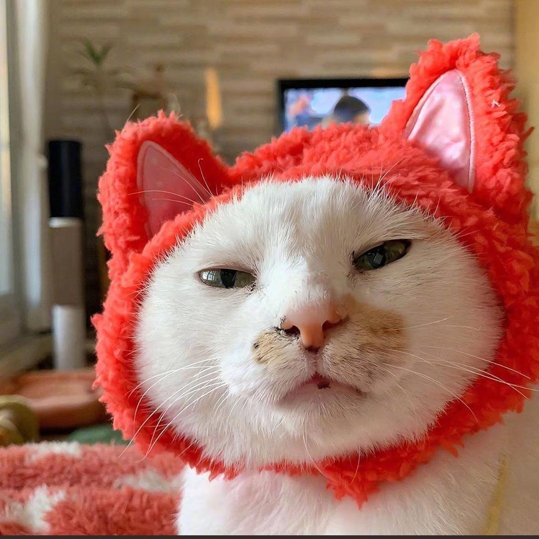 拓村木仔（男装版