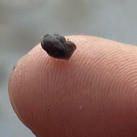 🫧格局🫧解释就是掩饰