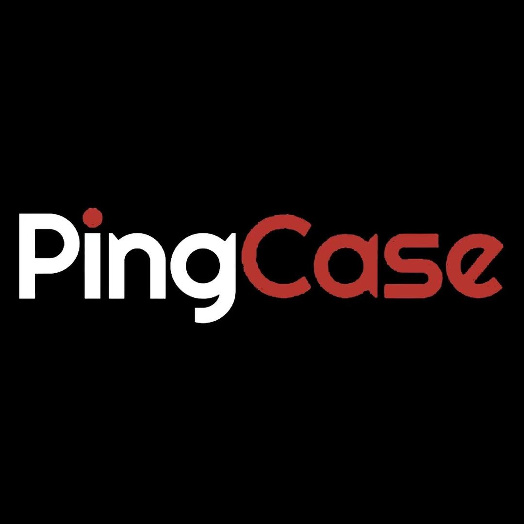PING CASE数码