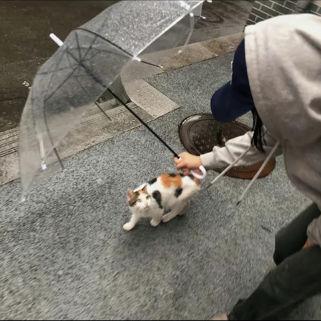 艺点点