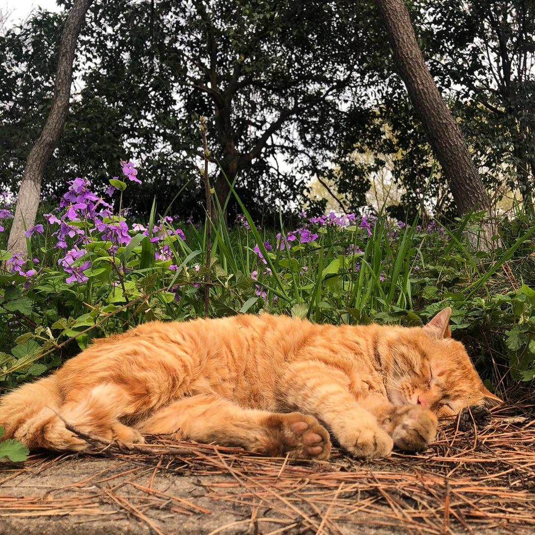 爱玩的Max（苏州极速机车）