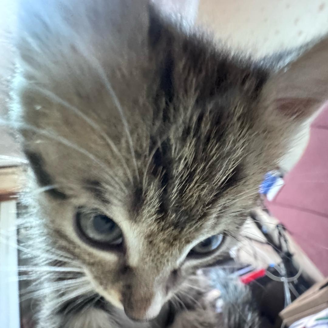 白纸（已有闺7377）