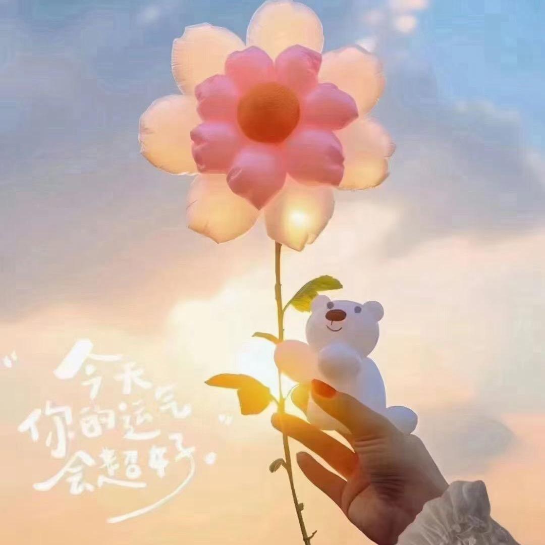 美姐