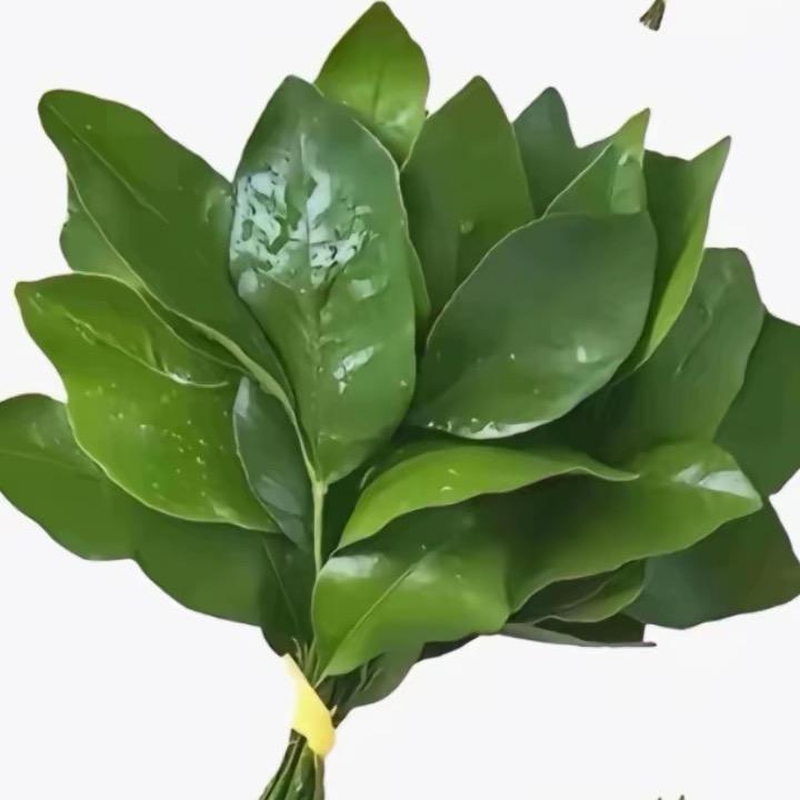 铮铮_