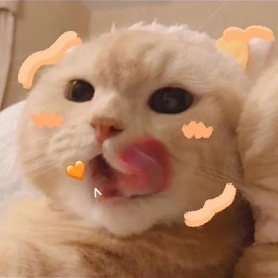小暖啊