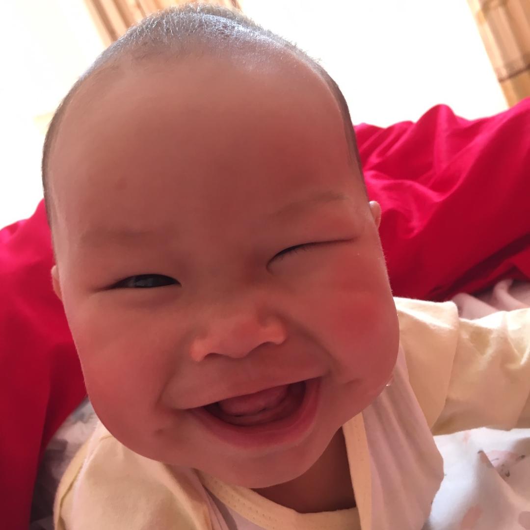 小刀葵
