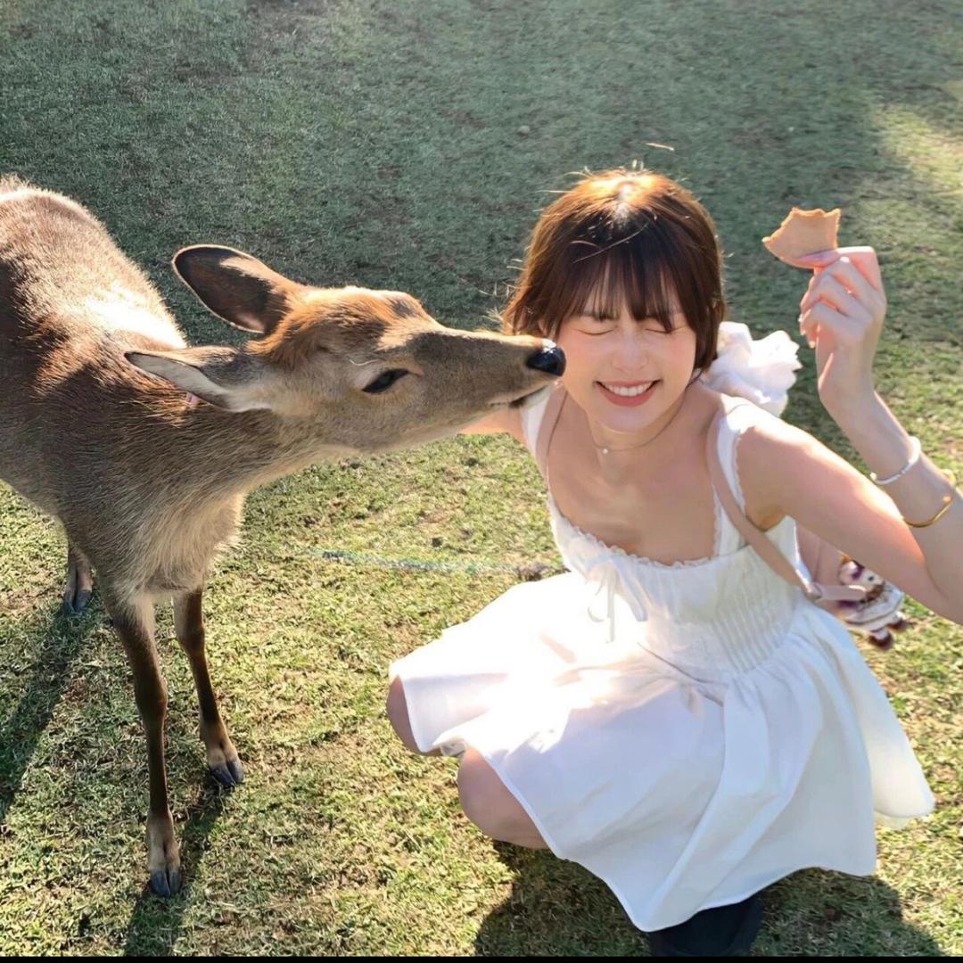 苏禾禾