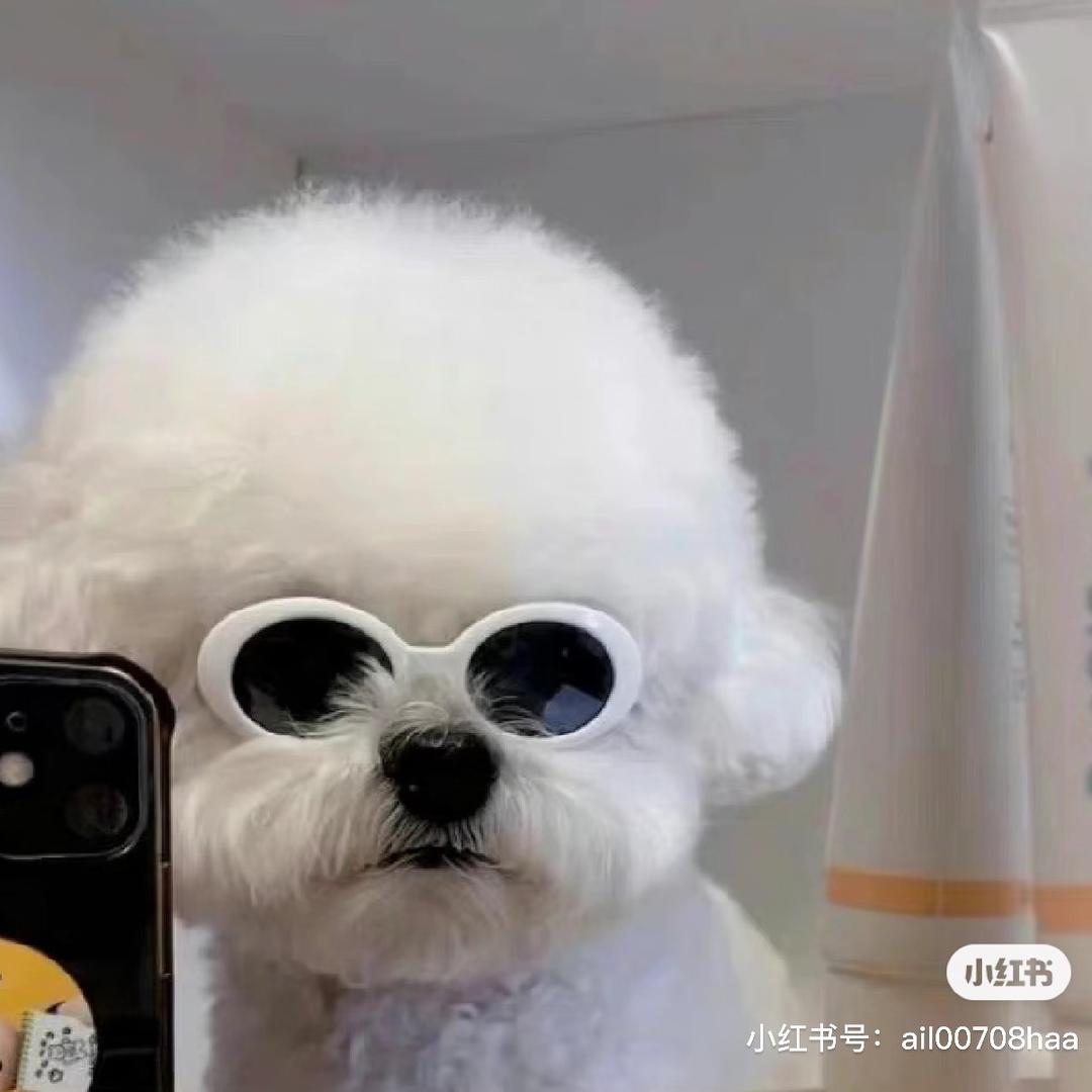 不一样的烟火🌸