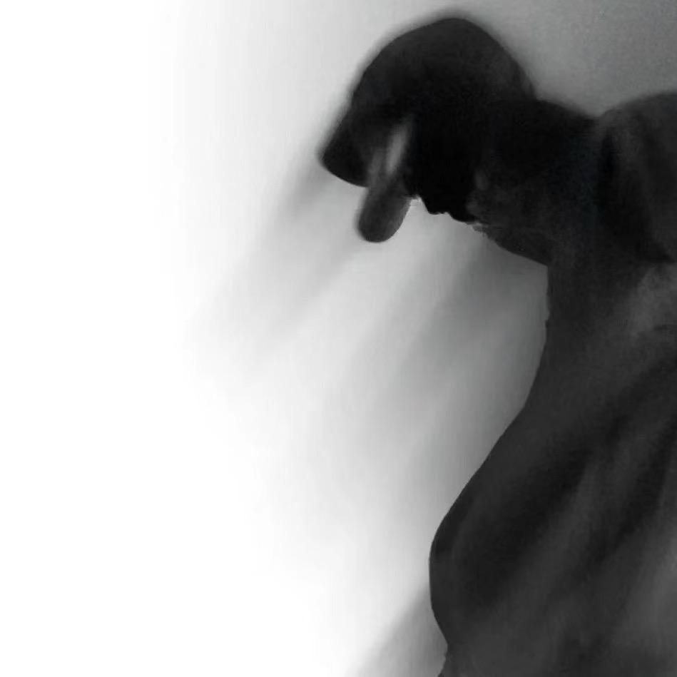 一只贪吃的小猫