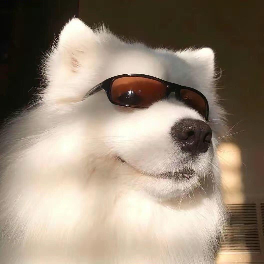 ss