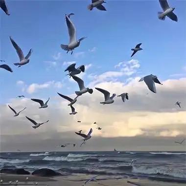 悍途户外商贸行供应链