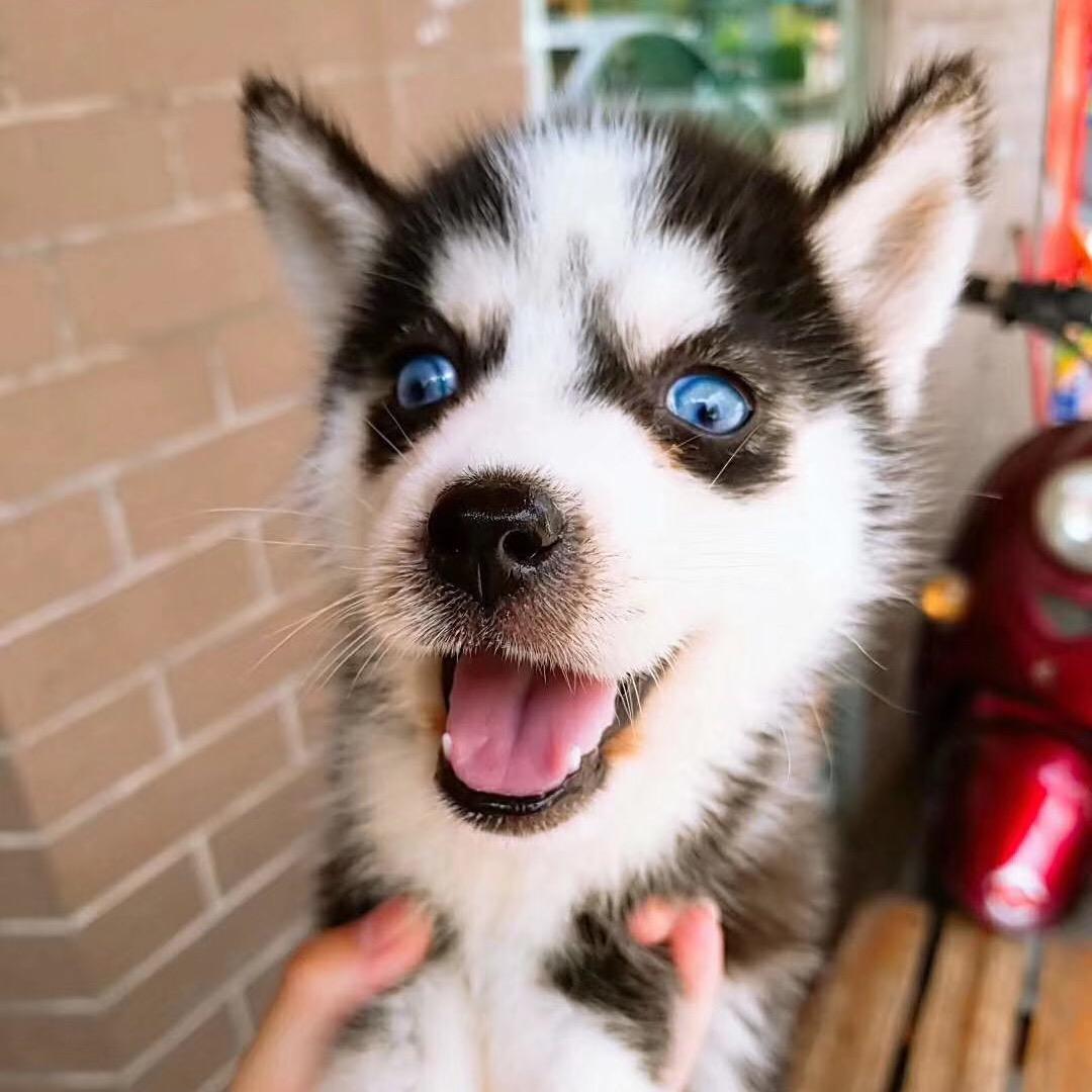 爱吐泡泡的小冉冉