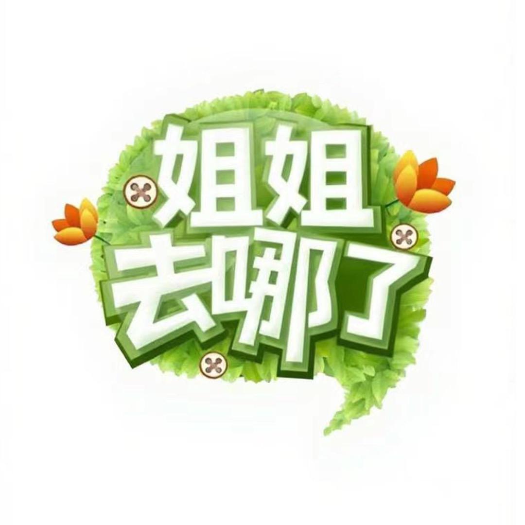 姐姐去哪了